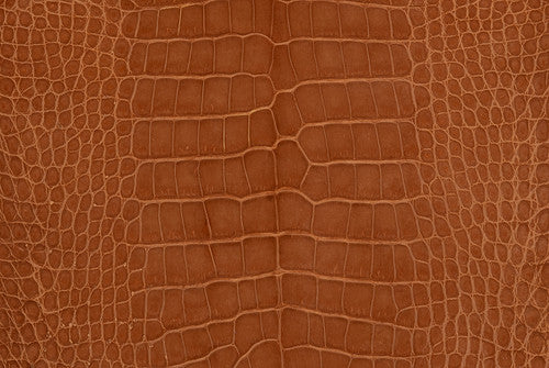 American Alligator/Matte Cognac