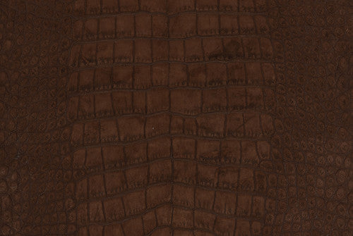 American Alligator/Matte Brown